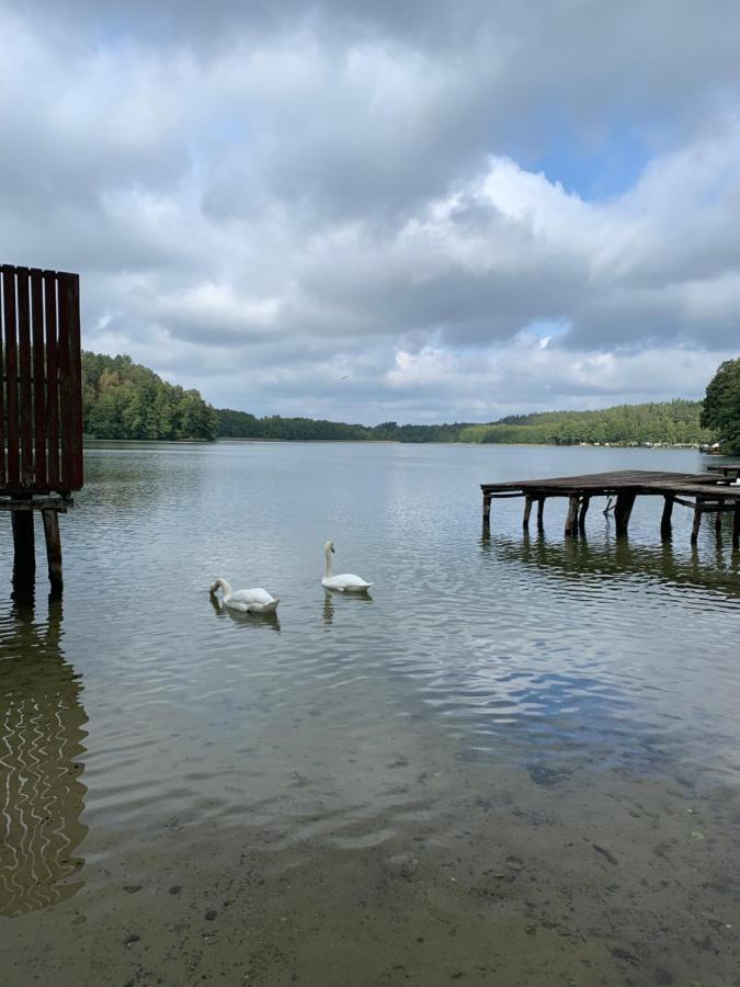 Domki Nad Brzegiem Dluzek Экстерьер фото